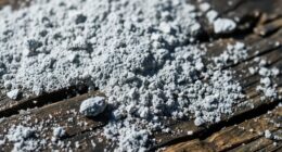 disposing of wood ash