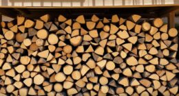 keep wood dry and ventilated