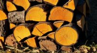 properly dry wood before burning