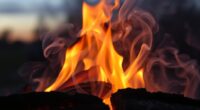 wood combustion emissions explained