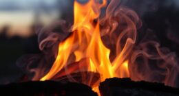 wood combustion emissions explained