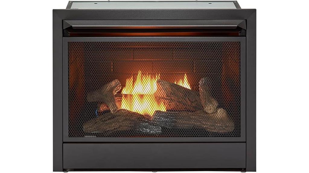 dual fuel fireplace insert