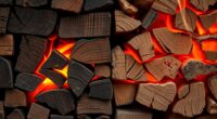 wood type influences burn