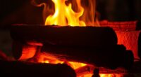 efficient clean long lasting fire