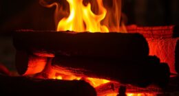 efficient clean long lasting fire
