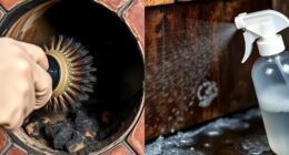 mechanical and chemical removal