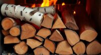 medium heat firewood types