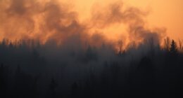 wood smoke health risks