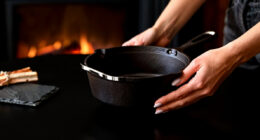 11 Best Best Pellet Stove Burn Pot Replacement in 2026