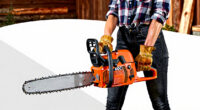 15 Best Chainsaw 60cc for Firewood in 2026