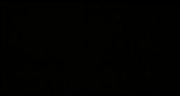 6 Best Lightweight Backpacking Wood Stove Titanium in 2026