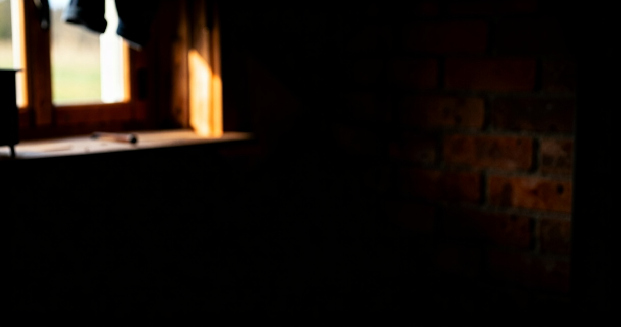 6 Best Small Wood Stoves for Shop Building in 2026