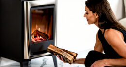 8 Best Catalytic Wood Stove Insert in 2026