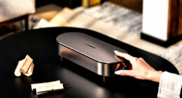 8 Best Pellet Stove With Auto Ignition in 2026