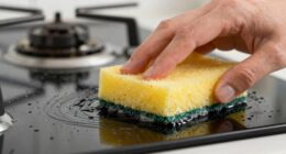 effective stove glass cleaners