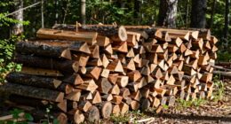 efficient two year firewood rotation