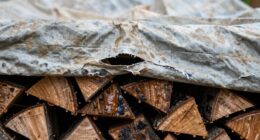 improper covers trap moisture