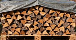 maintain dry firewood airflow