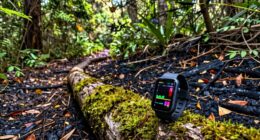 monitoring burn habits seasonally