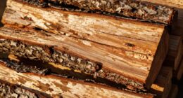 pleasant smelling poorly burning firewood