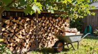 preparing firewood in summer