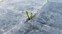 seasonal transitions improve productivity