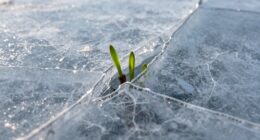 seasonal transitions improve productivity