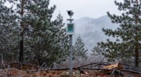 weather stations aid firewood planning