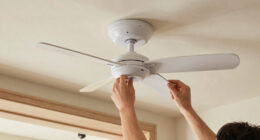 1 Best Doorway Fan for Heat Transfer in 2026