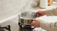 1 Best Stovetop Steamer for Winter Dryness in 2026