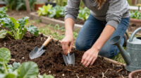 10 Best Garden Soil Amendments in 2026