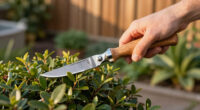 11 Best Pruning Knives in 2026