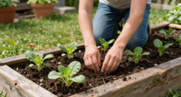 11 Best Raised Garden Beds in 2026