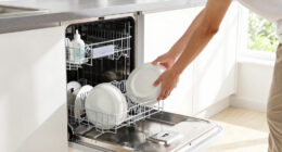 11 Best Dishwashers in 2026