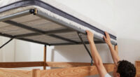 14 Best Murphy Beds in 2026