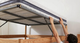 14 Best Murphy Beds in 2026