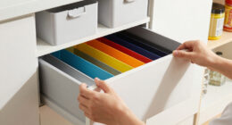 3 Best Wall Drawer Organizers in 2026