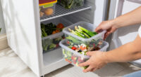 15 Best Freezer Organizers in 2026