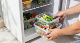 15 Best Freezer Organizers in 2026