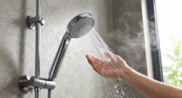 15 Best Luxury Showerheads in 2026