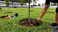 Caio Martins Stadium To Become Park And Reservoir In Niterói